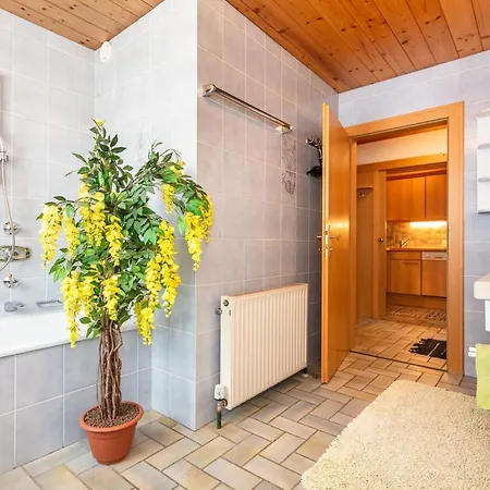 Haus Alexandra Apartment Werfenweng Exterior photo