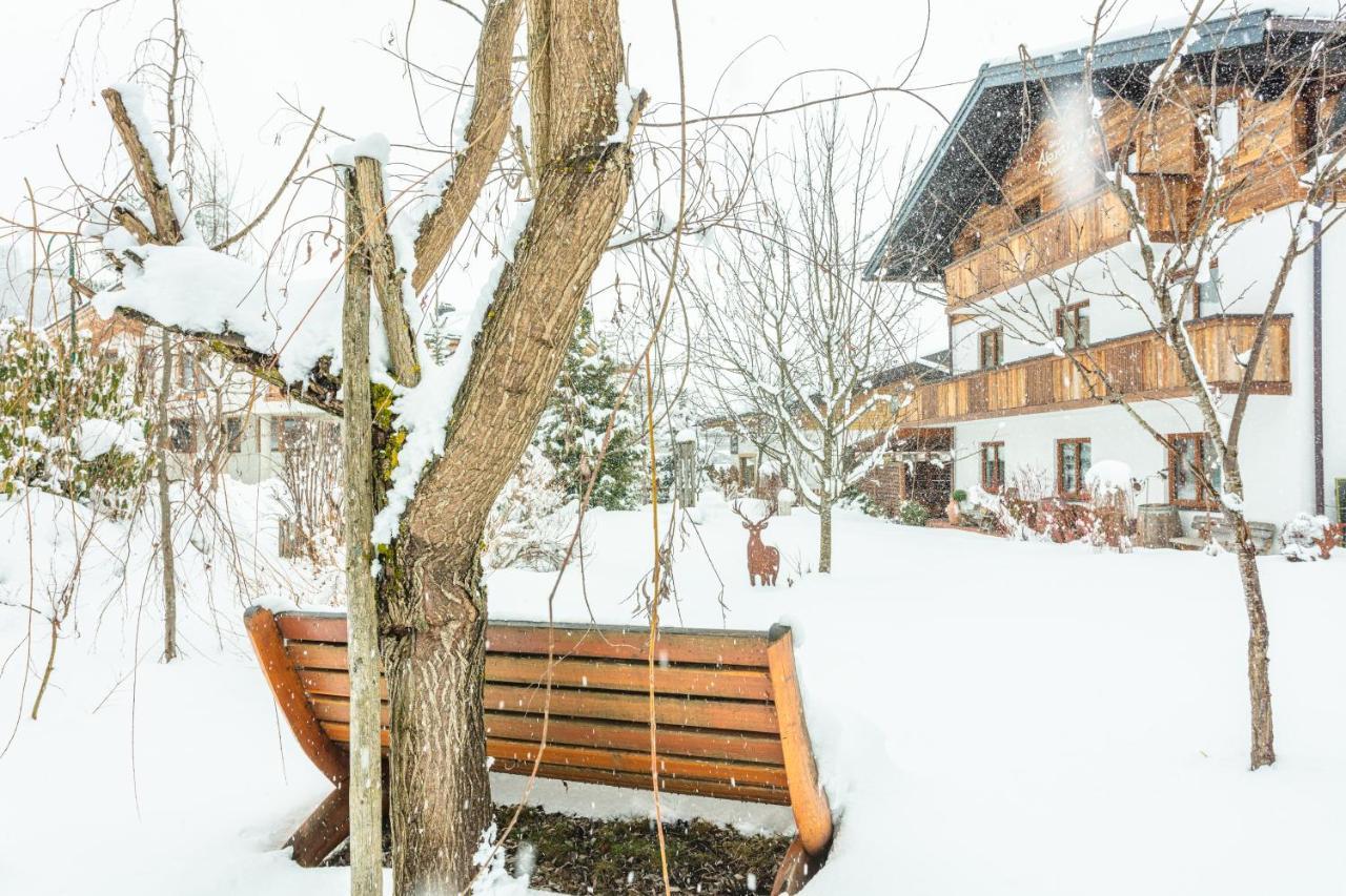 Haus Alexandra Apartment Werfenweng